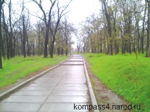 Как начать день